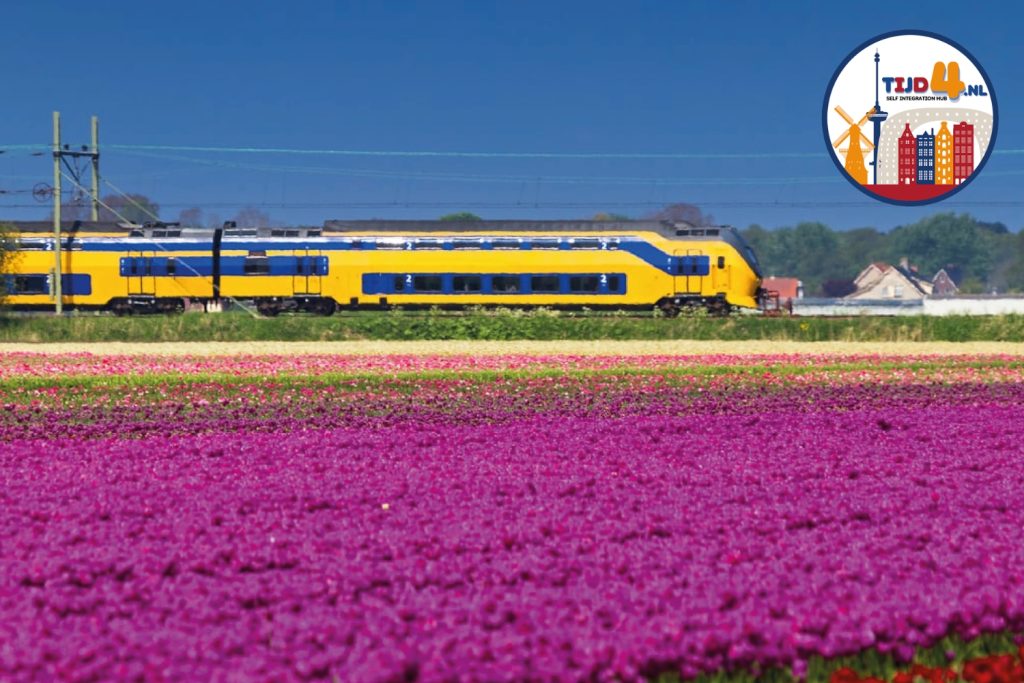 A train passing by tulip fields