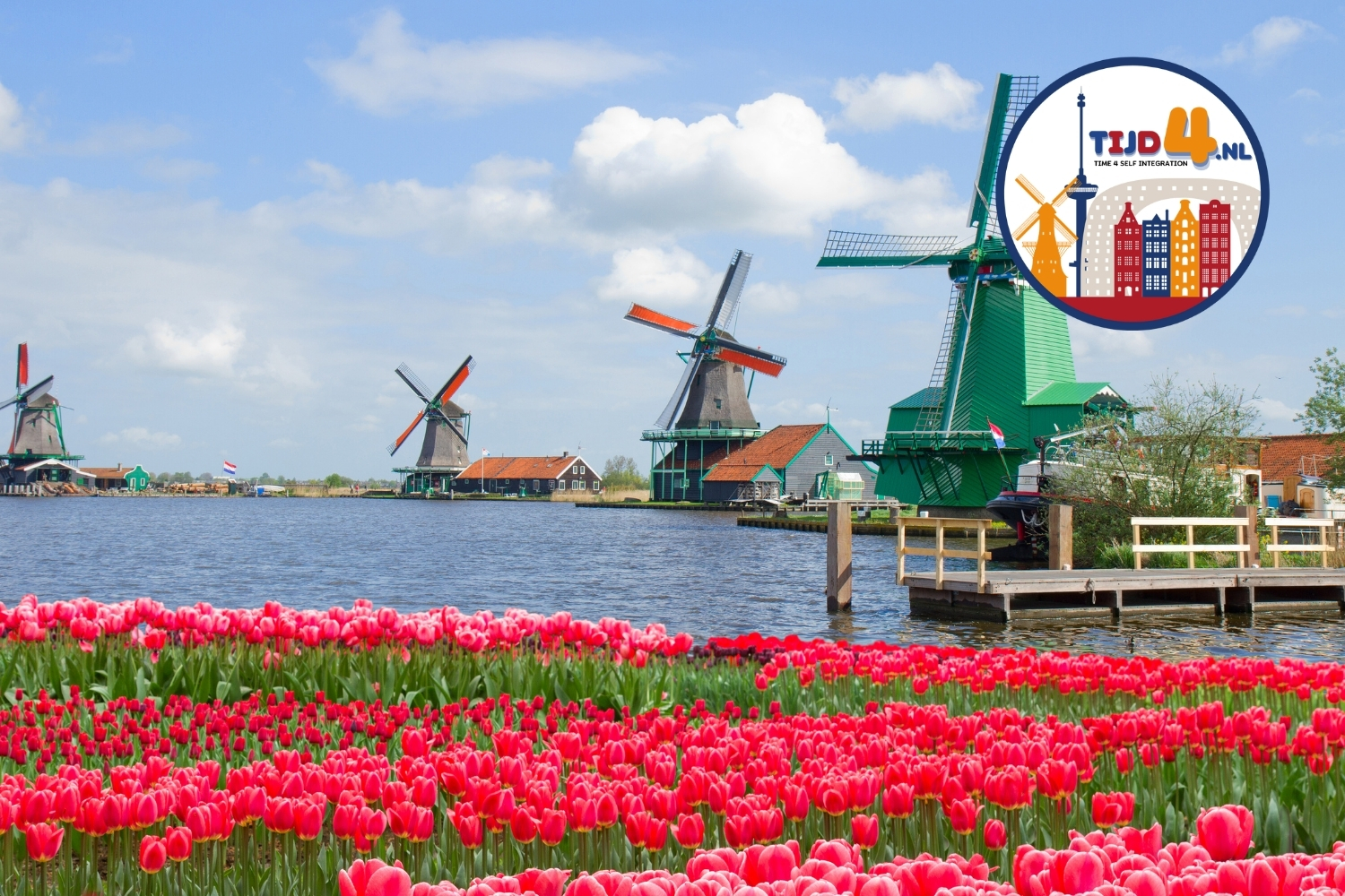 Een uitzicht vanaf de kust in Nederland, met tulpen op de voorgrond en windmolens op de achtergrond.
