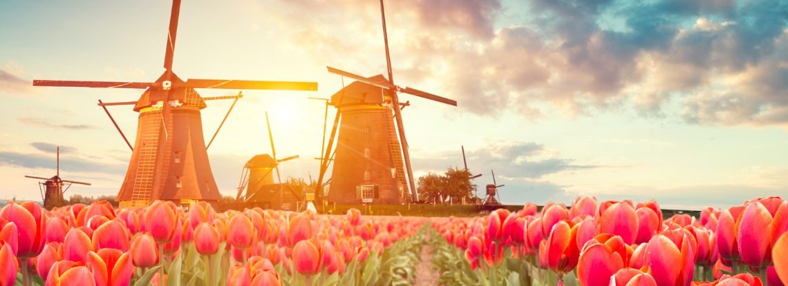 Integratie in de Nederlandse samenleving