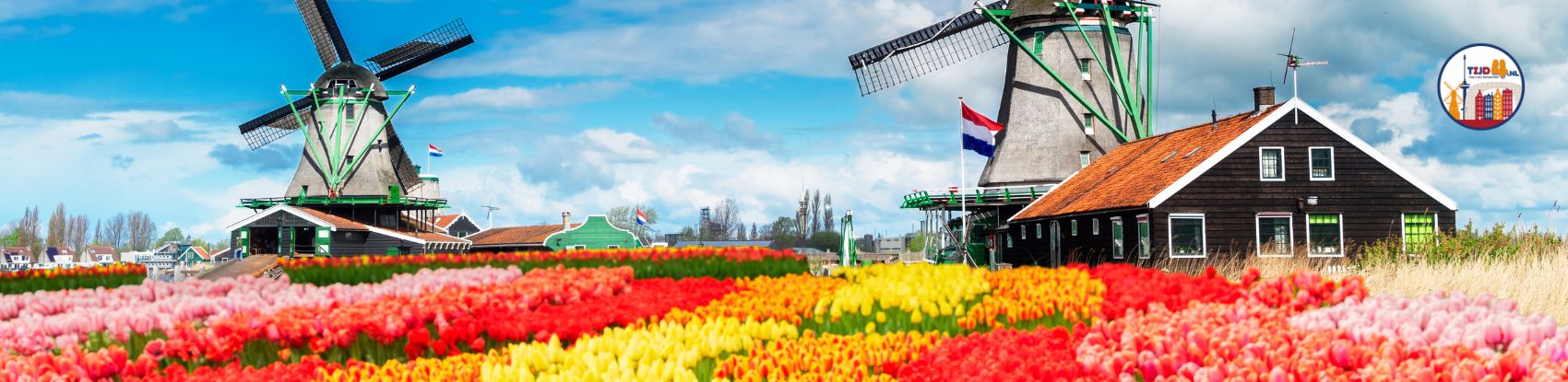 Verhuizen naar Nederland