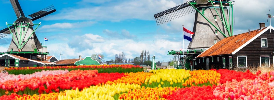 Moving to the Netherlands: Pros and Cons