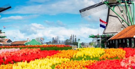 Moving to the Netherlands: Pros and Cons