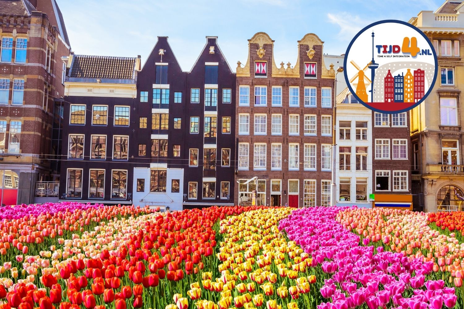 Moving to the Netherlands: Pros and Cons-featured