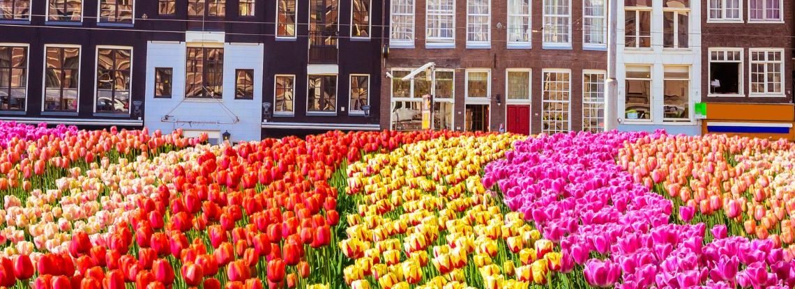 Wonen in Nederland voor expats