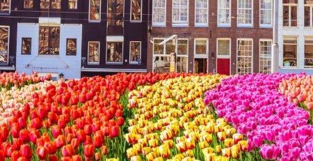 Living in the Netherlands for Expats