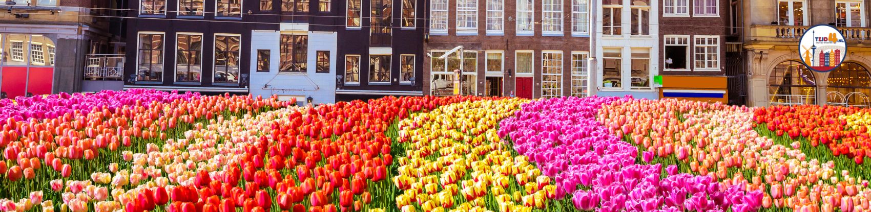 Living in the Netherlands for Expats